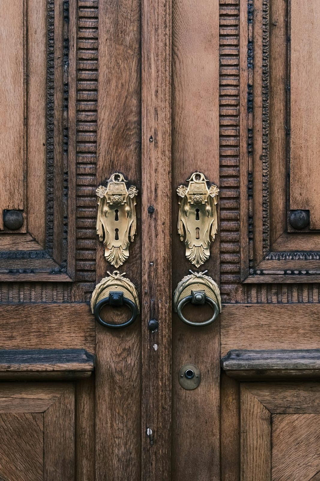 Carved wood door with brass knockers
