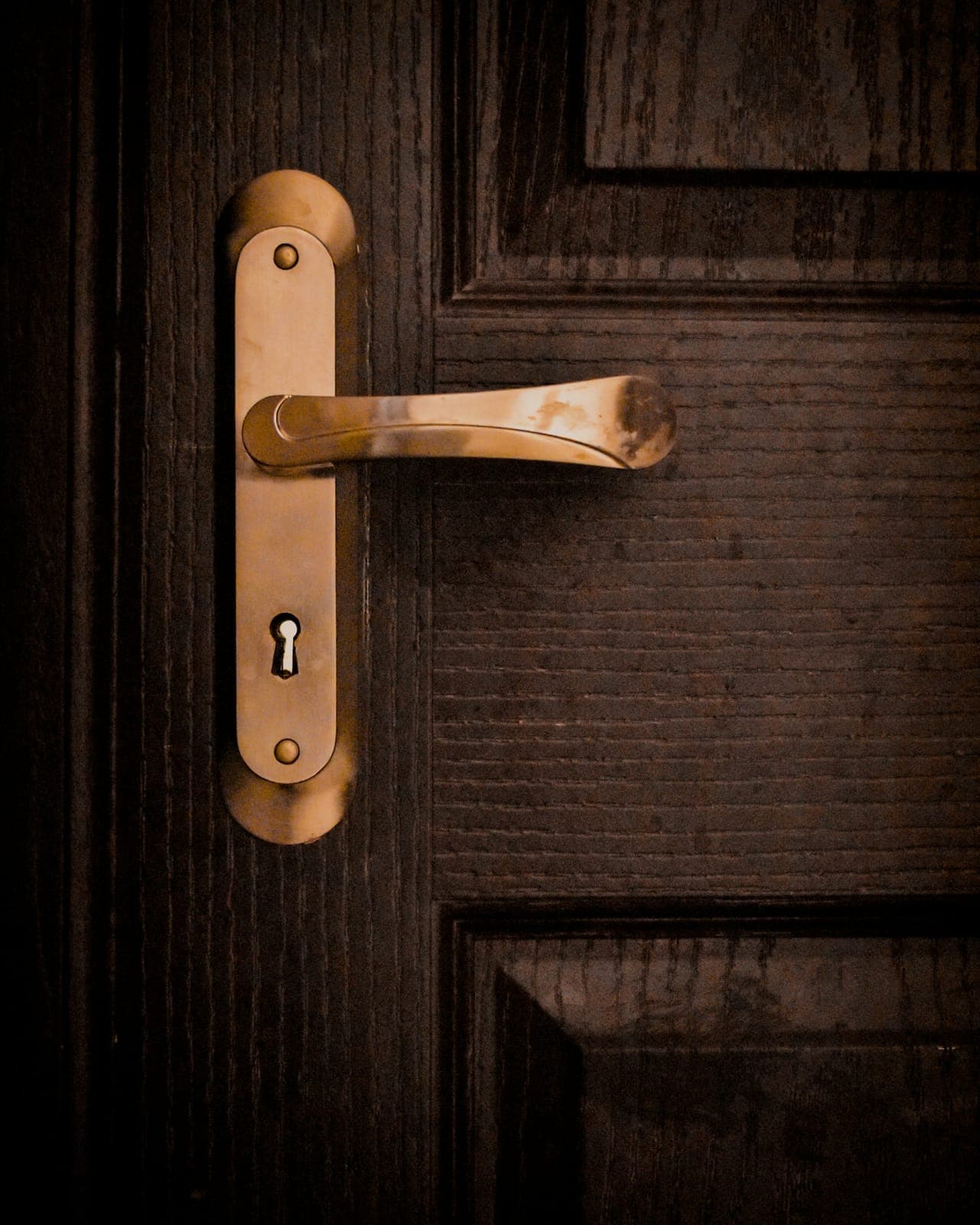 Brass lever handle on a dark wood door