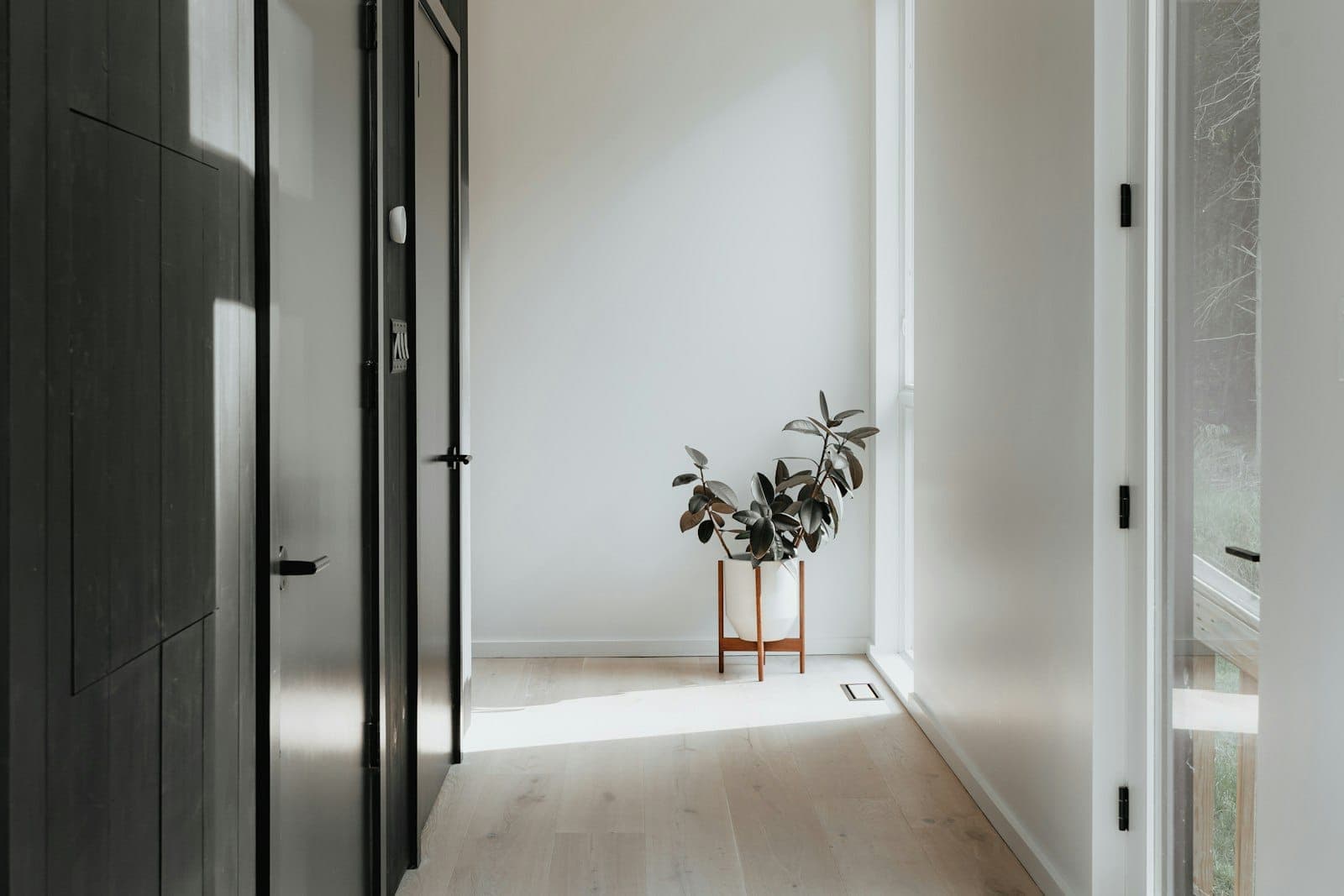 Dark wood door in a minimal hallway